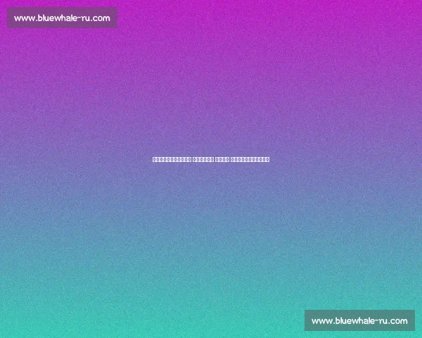 世界杯官方网站全面更新 提供赛事信息 球队动态 球迷互动与实时比分服务