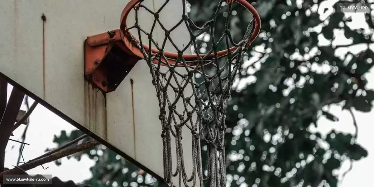 PG巅峰国际com.www🏓小乒乓，大梦想，拼搏永不停！